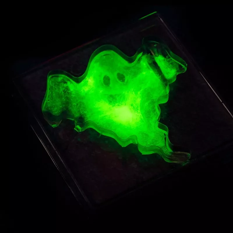 Teaduskomplekt Liscianigiochi Crazy Science Slime in the dark 304-PL89239 — pimedas helendava lima katsekomplekt