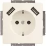 Busch-Jaeger SCHUKO-2x USB pistikupesa 20 EUCB2USB-884 (2CKA002011A6277)