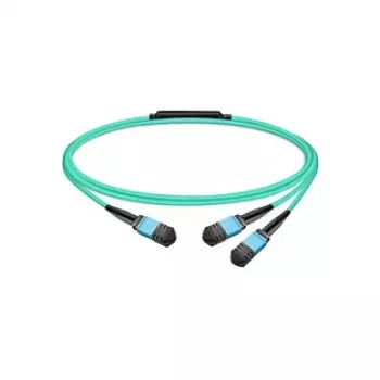 Molex PN passiivne kiudkaabel MMF MPO12 APC 7 m