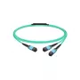 Molex PN passiivne kiudkaabel MMF MPO12 APC 7 m