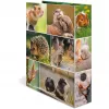 HERMA 19252 ring binder A4 Mitmevärviline D-rõnga Hoiustamine