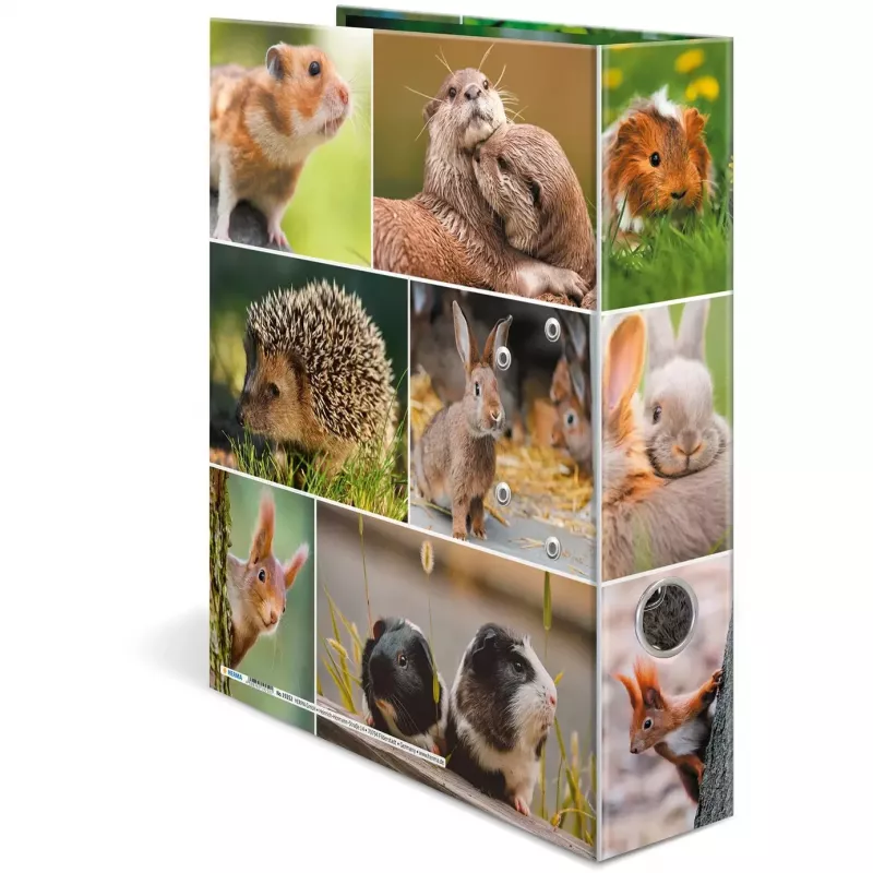 HERMA 19252 ring binder A4 Mitmevärviline D-rõnga Hoiustamine