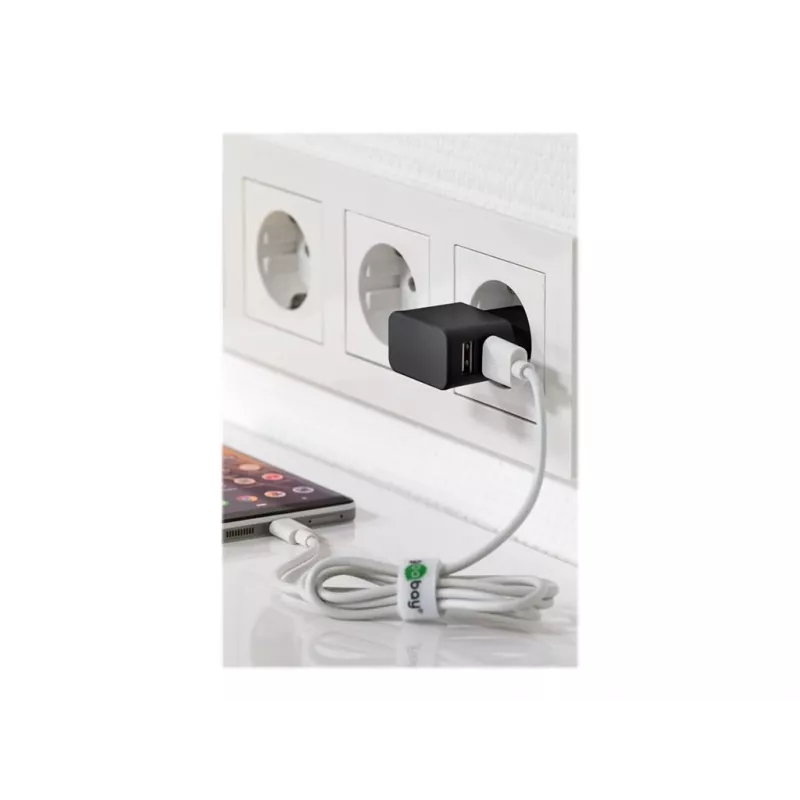 Wentronic goobay Dual USB laadija - toiteplokk - 12 W - 2,4 A - 2 väljundporti (USB) - must (44951)
