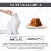 Märg kassitoit Purina Nestlé Gourmet Revelations tükid tarretises lõhega 2x57 g, täiskasvanud, täisväärtuslik sööt