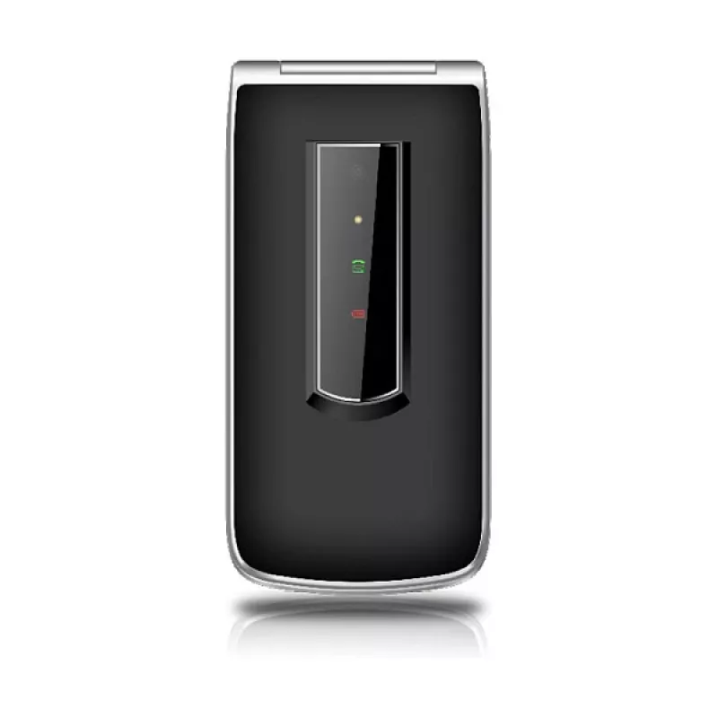 Beafon SL495LTE_EU003B Hõbedane