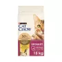 Purina Cat Chow Special Care Urinary Tract Health- kasside kuivtoit 15 kg täiskasvanu kana