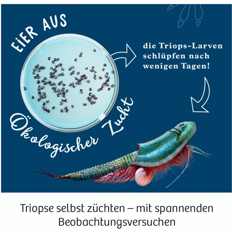Kosmos 633073 Triops World teaduseksperimendi komplekt