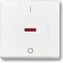 Busch Jaeger 1788-84 valge (1751-0-2750)