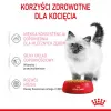 Märg kassitoit Royal Canin Kitten Gravy 85 g — linnuliha, 78% niiskust, 12% valku