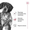 Kuiv koeratoit Royal Canin SHN Medium Adult 15 kg — täisväärtuslik toit täiskasvanud keskmist tõugu koertele, linnuliha, 25% valku, 14% rasva