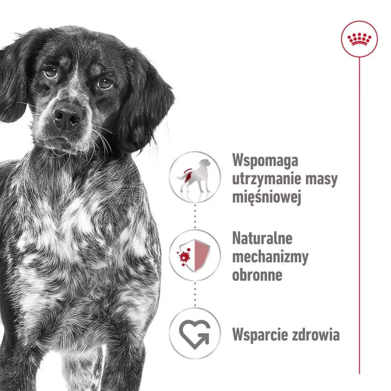 Kuiv koeratoit Royal Canin SHN Medium Adult 15 kg — täisväärtuslik toit täiskasvanud keskmist tõugu koertele, linnuliha, 25% valku, 14% rasva