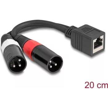 DeLOCK audiokaabel 0,2 m RJ-45 2 x XLR (3-kontaktiline) Must 88179