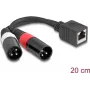 DeLOCK audiokaabel 0,2 m RJ-45 2 x XLR (3-kontaktiline) Must 88179