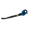 Blaupunkt CB2010 juhtmeta puhur
