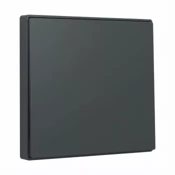 Lüliti nuppplaat Gira System 55 Wippe Antratsiit 329628 modulaarsete raamide jaoks