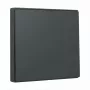 Lüliti nuppplaat Gira System 55 Wippe Antratsiit 329628 modulaarsete raamide jaoks