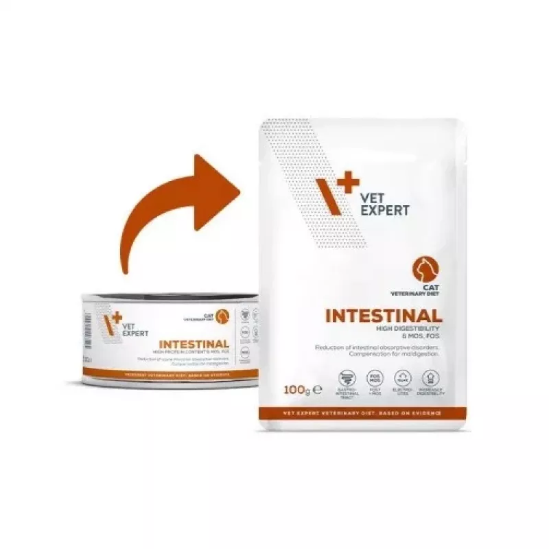 VetExpert Veterinary Diet Intestinal märg kassitoit 100 g