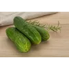 Cucumber Ares F1 Toraf köögiviljaseemned, 5g pakend