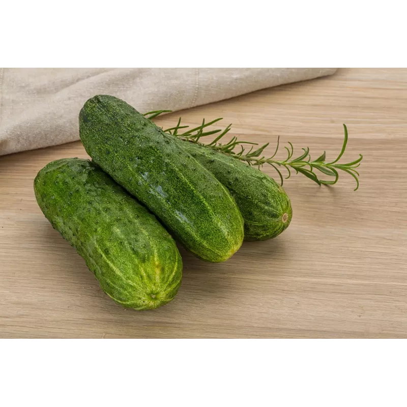 Cucumber Ares F1 Toraf köögiviljaseemned, 5g pakend