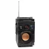 Squeak Bassblaster Bluetooth 5.1 kõlar, FM-raadio, MP3-mängija SQ1001