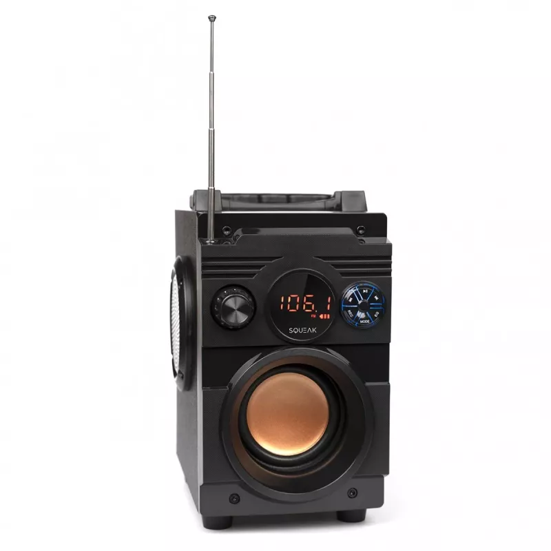 Squeak Bassblaster Bluetooth 5.1 kõlar, FM-raadio, MP3-mängija SQ1001