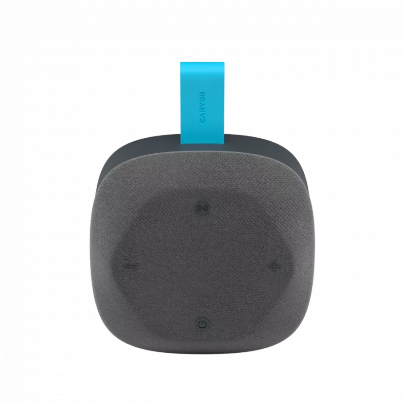 Canyon Hexagon 10 - Bluetooth 5.3 kõlar - USB-C - Kaardilugeja - IPX5 - sinakashall