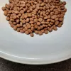 PUPIL Prime Mini Rich in beef with liver - kuiv koeratoit - 1,4kg