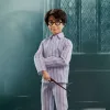 Harry Potter eksklusiivne disainikollektsioon Harry Potter nukk