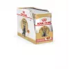 Märg kassitoit Royal Canin British Shorthair Adult kotike 85 g, linnuliha, ROYAL CANIN Feline Breed Nutrition