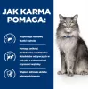 HILL'S Prescription Diet Liver Care - kuiv kassitoit - 1,5 kg