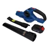 Blaupunkt CB2010 juhtmeta puhur