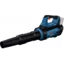 Boschi akupuhur GBL 18V-80006008D2200 (06008D2200)