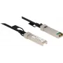 DeLOCK kaabel Twinax SFP+ isane SFP+ isasele 10 m 84219