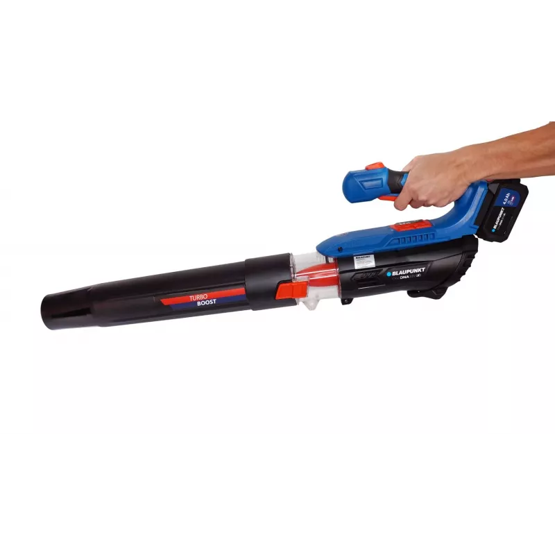 Lehepuhur Blaupunkt CB4010