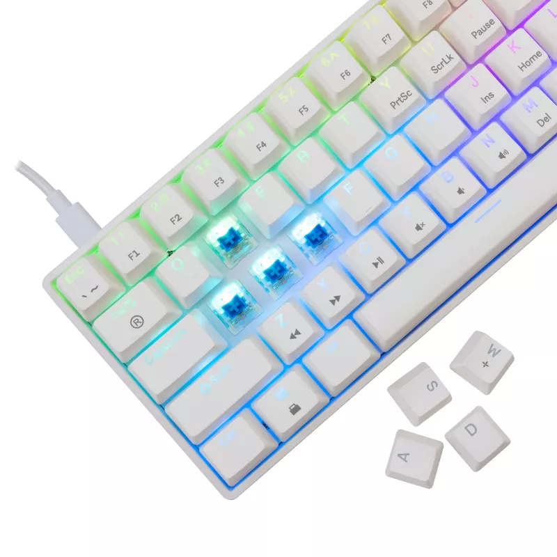 Juhtmega mehaaniline klaviatuur White Shark Shinobi-2 (GK-004221) — sinised lülitid, valge, US paigutus