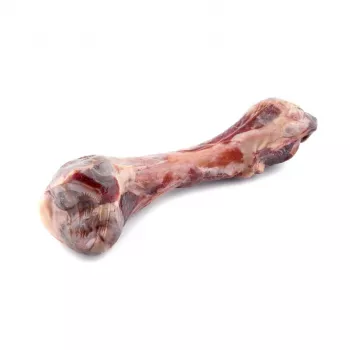 MACED Parma singikond - koera närimismaius - 330g
