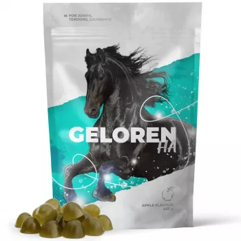 Lisand hobustele CONTIPRO GELOREN Horse HA Joints 450 g — liigeste toetamine hüaluroonhappega, tahke kotike