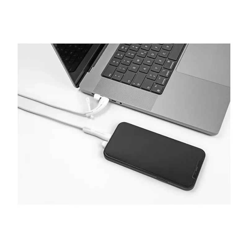 DeLOCK tolmukate USB USB-C isasele ja Apple Lightning isasele pistikule, komplekt 2 tk, valge