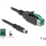 DeLOCK PoweredUSB-kaabel isane 12 V kuni DC 5.5 x 2.5 mm isane 1 m