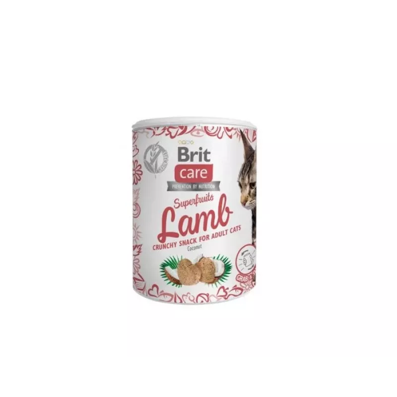 Kassimaius Brit Treat Superfruits Lamb 100 g — lihane, teraviljavaba, säilitusainetevaba, täiskasvanud kassidele