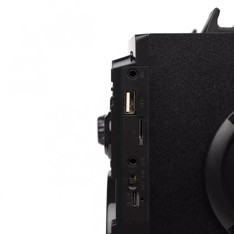 Squeak Bassblaster Bluetooth 5.1 kõlar, FM-raadio, MP3-mängija SQ1001