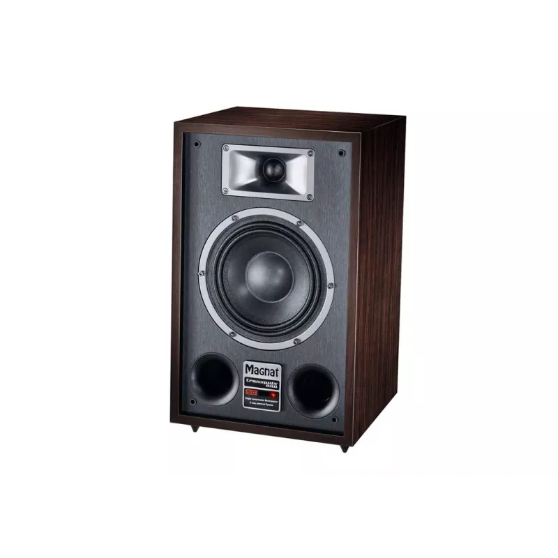 Põrandakõlar Magnat TRANSPULS 800A 2-suunaline juhtmega ja juhtmevaba 2×60 W, Bluetooth 5.0, HDMI, must/pruun