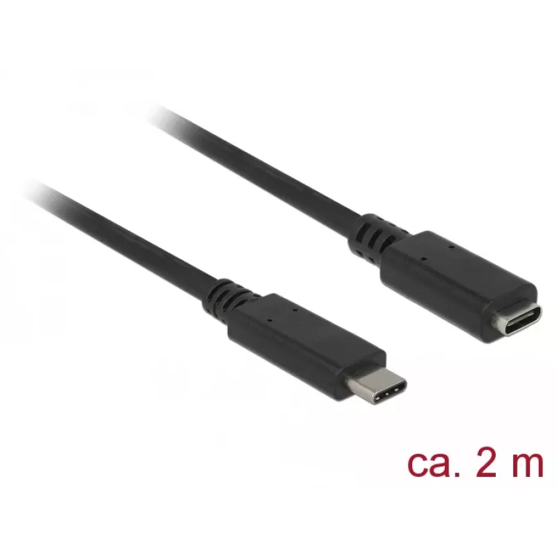 USB-kaabel DeLOCK SuperSpeed USB 3.2 Gen 1 2 m USB-C must