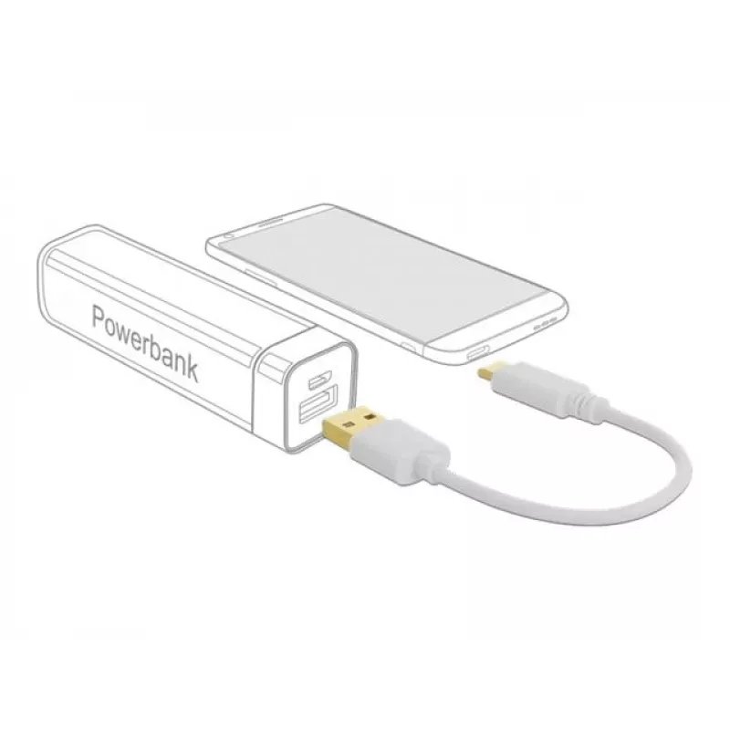 USB-laadimiskaabel DeLOCK Type-A USB USB-C-le 15 cm