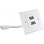Pistikupesa 2 x HDMI ShiverPeaks 79510-2