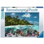 Pusle Ein Dive in the Maldives (2000 tükki)