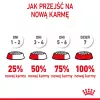 Kuiv kassitoit Royal Canin Kitten 2 kg — linnuliha (kana) retsept, valk 36%, rasv 18%