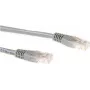 Ewent 1.5m Cat6 UTP võrgukaabel Hall U/UTP (UTP)