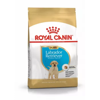 ROYAL CANIN SHN Breed Labrador Junior kuiv koeratoit - 12 kg