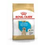 ROYAL CANIN SHN Breed Labrador Junior kuiv koeratoit - 12 kg